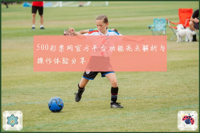 500彩票网官方平台功能亮点解析与操作体验分享