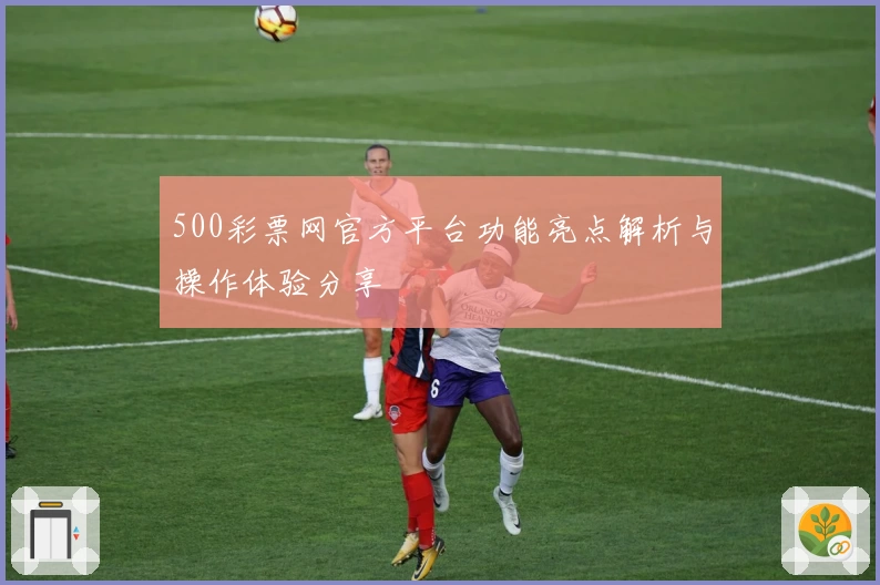 500彩票网官方平台功能亮点解析与操作体验分享